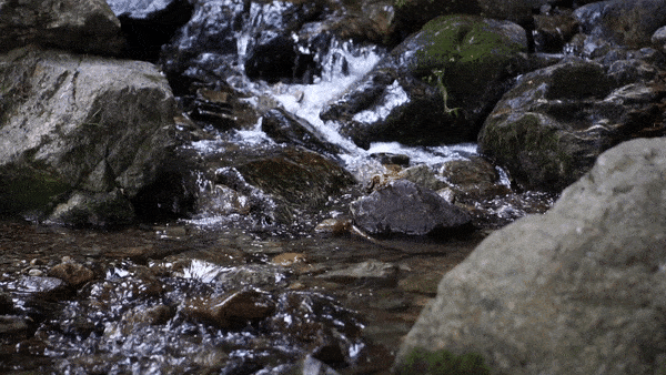 water in a stream 