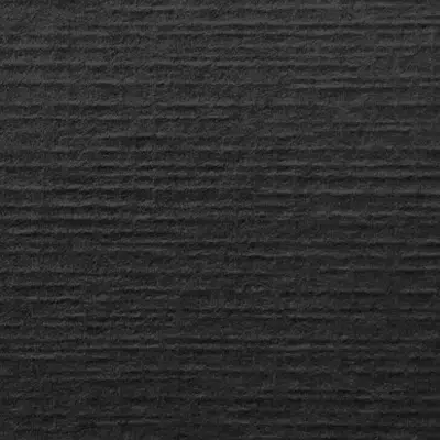 voile_black_03