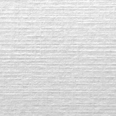 voile_white_03
